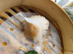 -馨越楼·点心·粤菜(赤坎店)