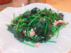 地瓜叶炒虾仁-堂宴·老厦门私房菜(1988仙岳总店)