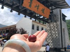 -青峰峡国家森林公园