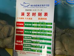 -烟台海昌鲸鲨海洋公园