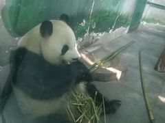 -无锡动物园·太湖欢乐园