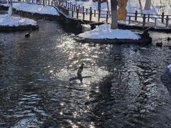 -水磨沟公园