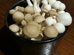 -无老锅(苓雅店)