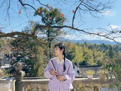 -塔川景区