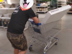 -宜家家居(西安未央商场店)