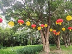 -南国桃园旅游度假区