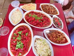 -同銮特种养殖场·龙虾垂钓