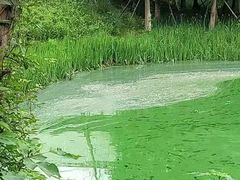 -艾溪湖湿地公园