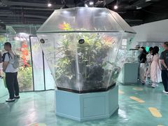 -上海大自然野生昆虫馆(东方明珠·爬宠昆虫探索中心)