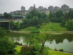 -东岳体育公园