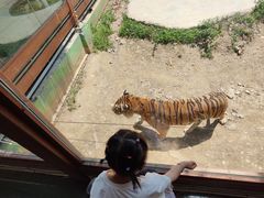 -栾川竹海野生动物园