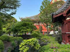 -浅草寺