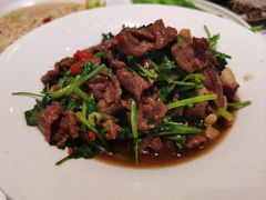 香菜摔打鲜牛肉-桂满陇·杭州饭店(清河万象店)