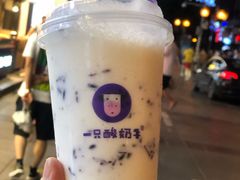 -一只酸奶牛(八一路店)