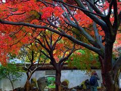 -惠山古镇·寄畅园