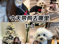 -J Create城市露营咖啡·简餐·宠物(上海动物园店)