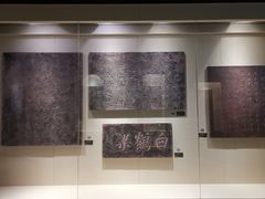 -白鹤梁水下博物馆