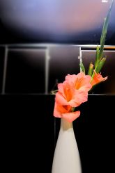 -翎兰瑜伽·普拉提