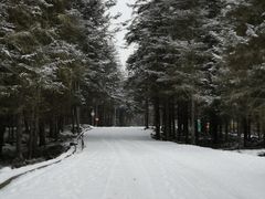 -硗碛藏寨·神木垒景区