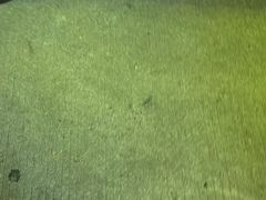 -南沙辉记烧鸡·荔枝木炭火吊烧(旧镇店)