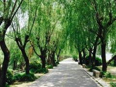 -三山岛