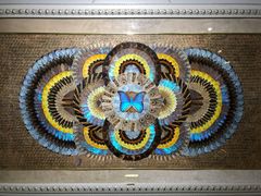 -上海昆虫博物馆