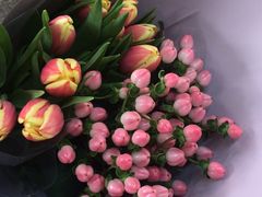 -双季花艺园艺市场(浦东店)