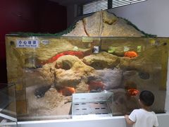 -上海昆虫博物馆