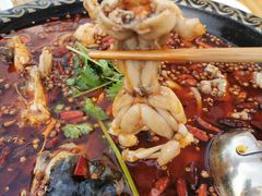 -蛙鲜到美蛙鱼头