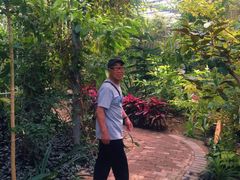 -呀路古热带植物园