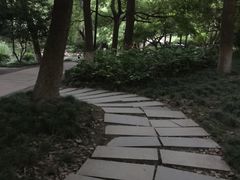 -素清香(解放路店)