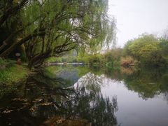 -贵阳市花溪国家城市湿地公园
