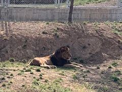 -石家庄市动物园