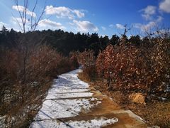 -沈阳辉山风景区