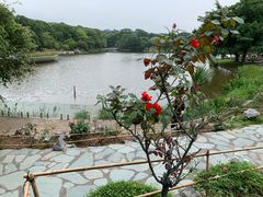 -东莞植物园