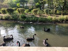 -沈阳鸟岛