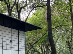 -中国茶叶博物馆(双峰馆区)