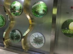 -上海昆虫博物馆