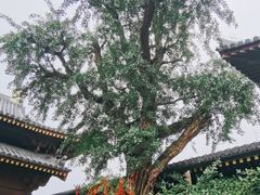 -昭山风景名胜区