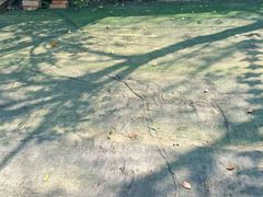 -动邦皮划艇·桨板·独木舟·团建户外运动俱乐部