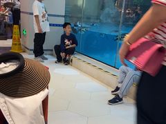 -帝企鹅自助餐厅•儿童岛•真企鹅(长隆企鹅酒店)