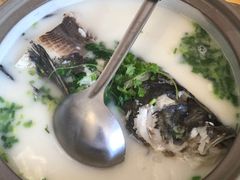-天乐农家鱼头王(天目湖店)