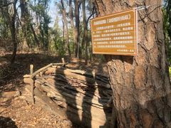 -喻家山