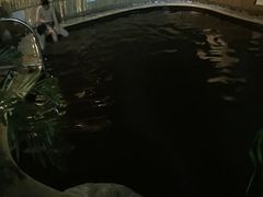-顺景温泉