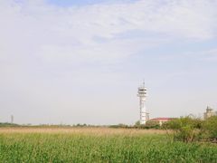 -上海吴淞炮台湾国家湿地公园