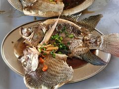 -竹庄餐馆·26年店(南昆山景区店)