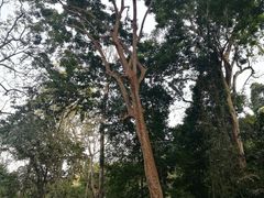 -关西瀑布