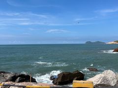 -广东惠东海龟国家级自然保护区