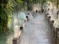 -厦门园林博览苑