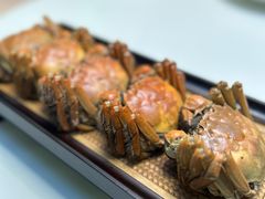 -浙里会